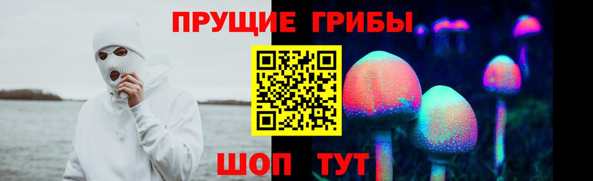 Псилоцибиновые грибы GOLDEN TEACHER Дербент